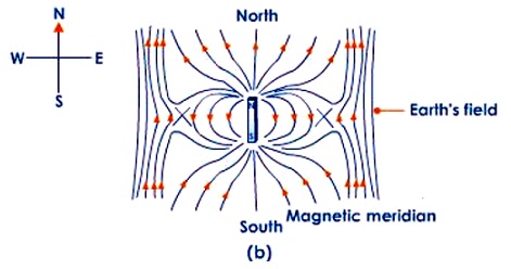 Magnetic field of the neutral zona